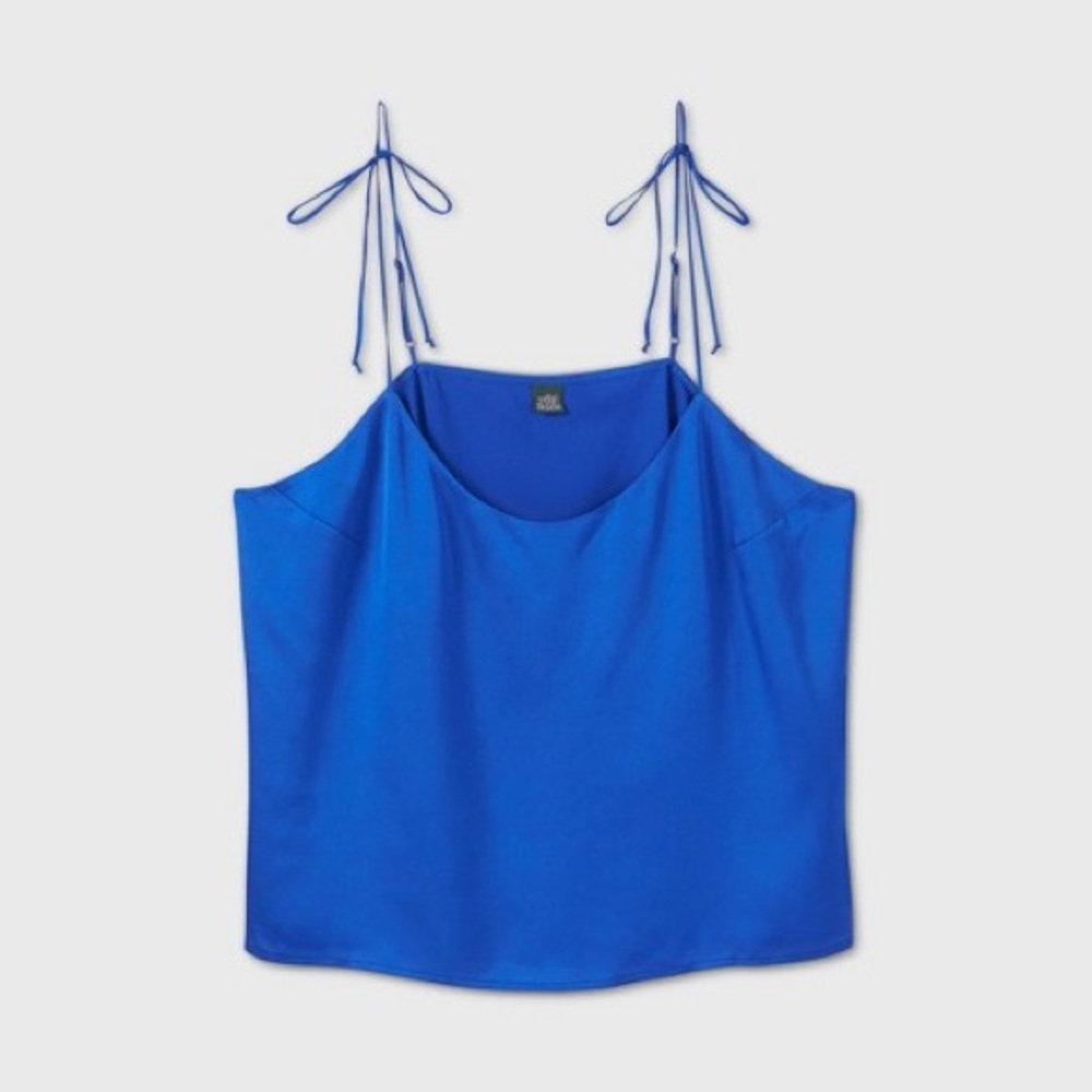 Blue Satin Crop Top
